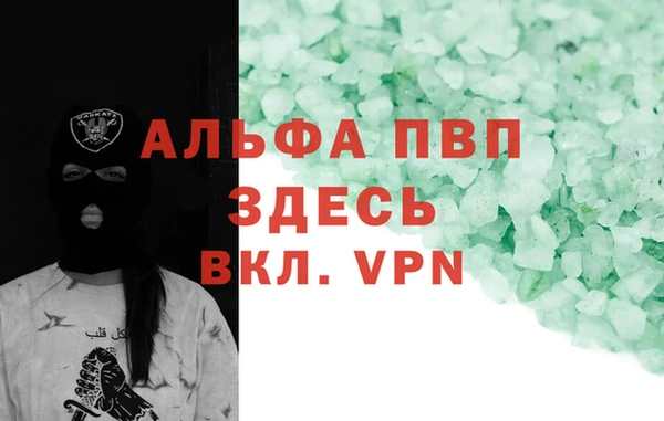 сатива Баксан