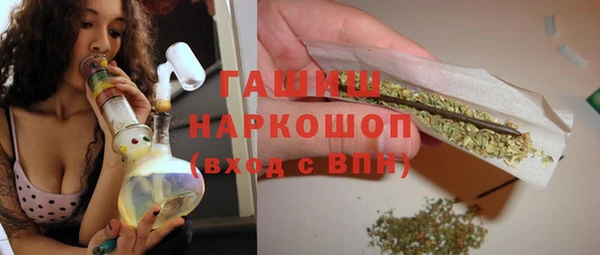 хмурый Аркадак