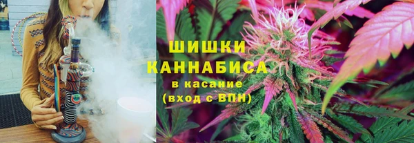 сатива Баксан