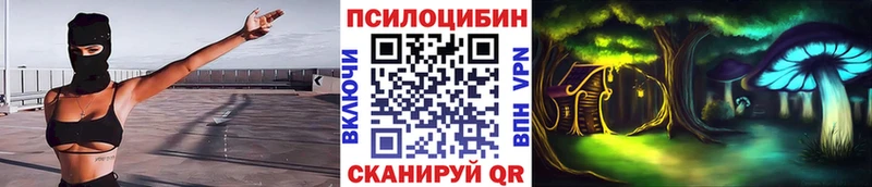 Псилоцибиновые грибы мицелий  Купить где  Пудож 
