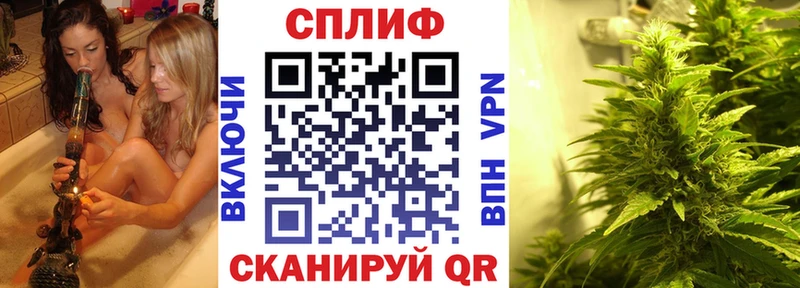 Купить где Пудож МАРИХУАНА сатива